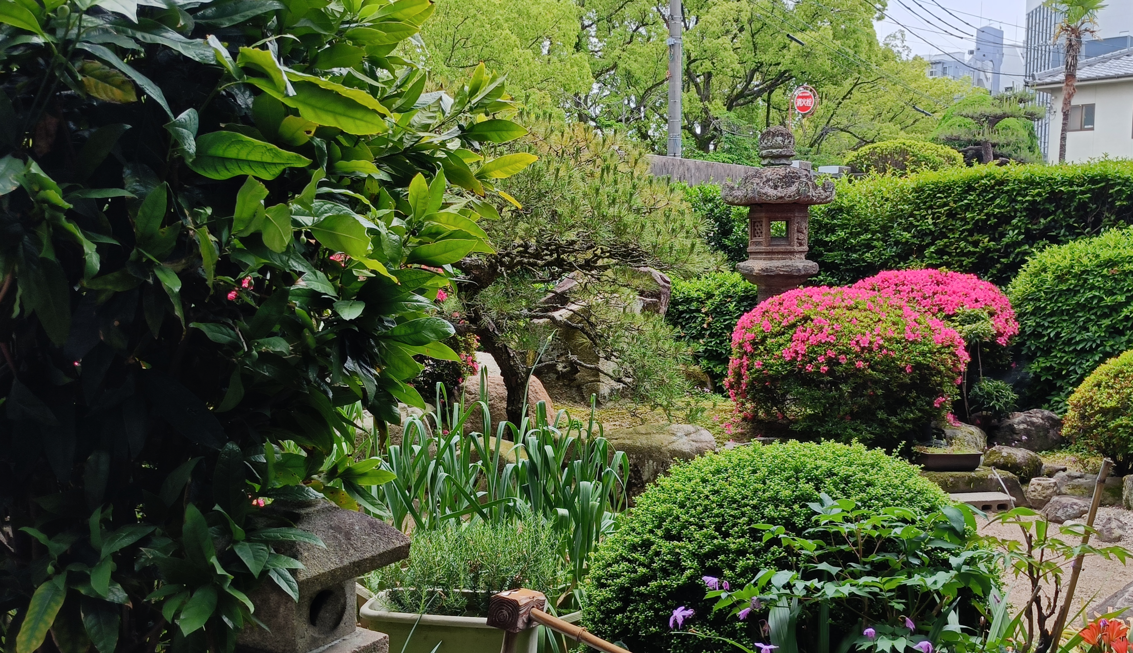 　令和7年春季永代経法要のご案内